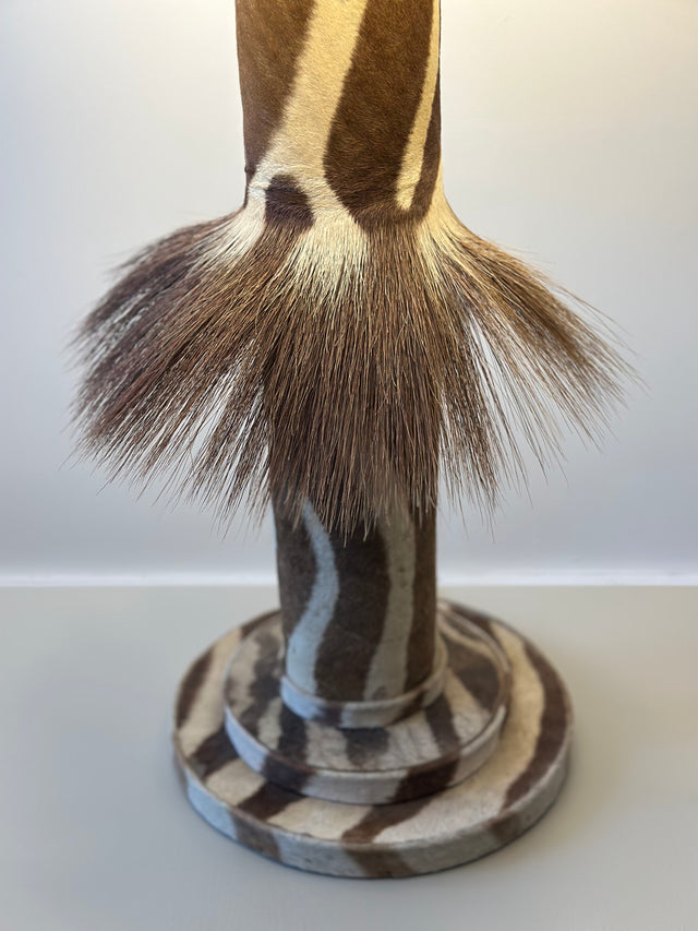 1930s Art Deco Zebra Lamp with Mane Flared Detail and Custom Drum Lampshade
