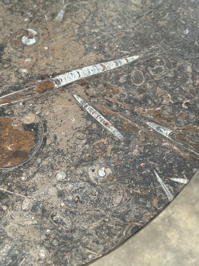 Fossil Stone Coffee Table with Circular Top and Octagonal Base